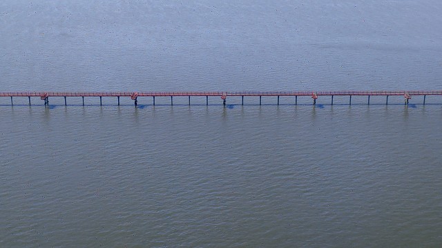 PXL 20230704 175221097